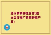 遵义黄精种植合作(遵义合作推广黄精种植产业)