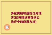 多花黄精块茎伤口处理方法(黄精块茎在伤口治疗中的应用方法)