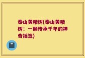 泰山黄精树(泰山黄精树：一颗传承千年的神奇摇篮)