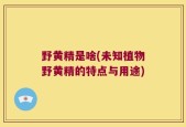 野黄精是啥(未知植物野黄精的特点与用途)