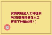 安徽黄精是人工种植的吗(安徽黄精是在人工环境下种植的吗？)