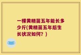 一棵黄精苗五年能长多少斤(黄精苗五年后生长状况如何？)