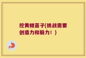 挖黄精苗子(挑战需要创造力和毅力！)
