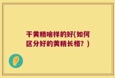 干黄精啥样的好(如何区分好的黄精长相？)