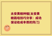太安黄精种植(太安黄精栽培技巧分享：成功保证收成丰厚的窍门)