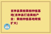 青神县黄精黄精种植基地(青神县打造黄精产业：黄精种植基地规模扩大)