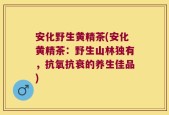 安化野生黄精茶(安化黄精茶：野生山林独有，抗氧抗衰的养生佳品)