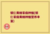 铜仁黄精家庭种植(铜仁家庭黄精种植营养丰富)