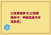 辽阳黄精种子(辽阳黄精种子：种植指南与市场前景)