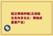 临沧黄精种植(云南临沧走向多元化：黄精成重要产业)