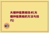 大棚种植黄精技术(大棚种植黄精的方法与技巧)