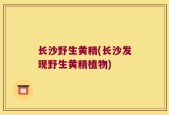 长沙野生黄精(长沙发现野生黄精植物)
