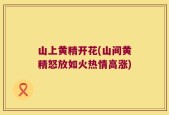 山上黄精开花(山间黄精怒放如火热情高涨)