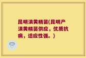 昆明滇黄精苗(昆明产滇黄精苗供应，优质抗病，适应性强。)