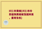 兴仁市黄精(兴仁市珍贵植物黄精被发掘利用，重现生机)