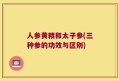 人参黄精和太子参(三种参的功效与区别)