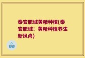 泰安肥城黄精种植(泰安肥城：黄精种植养生新风尚)