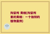 拘留所 黄精(拘留所里的黄精：一个独特的植物案例)