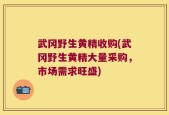 武冈野生黄精收购(武冈野生黄精大量采购，市场需求旺盛)