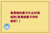 臭黄精的果子什么时候成熟(臭黄精果子何时成熟？)