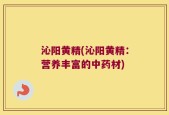 沁阳黄精(沁阳黄精：营养丰富的中药材)