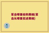 蒙自哪里收购黄精(蒙自从哪里买进黄精)