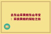 去东山采黄精东山寻宝：采摘黄精的探险之旅