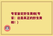 专家鉴定野生黄精(专家：这是真正的野生黄精！)