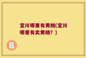 宜川哪里有黄精(宜川哪里有卖黄精？)