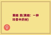 黄精 贵(黄精：一种珍贵中药材)