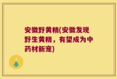 安徽野黄精(安徽发现野生黄精，有望成为中药材新宠)