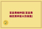 宜昌黄精种苗(宜昌黄精优质种苗火热销售)