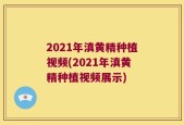 2021年滇黄精种植视频(2021年滇黄精种植视频展示)