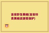 吉安野生黄精(吉安珍贵黄精资源受保护)