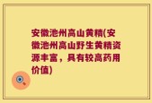安徽池州高山黄精(安徽池州高山野生黄精资源丰富，具有较高药用价值)
