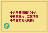 十八子黄精图片(十八子黄精图片，汇聚浓郁中华医药文化风情)
