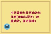 中药黄精与灵芝功效与作用(黄精与灵芝：双重功效，促进健康)