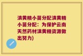 滇黄精小苗分配滇黄精小苗分配：为保护云南天然药材滇黄精资源做出努力)