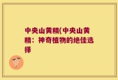 中央山黄精(中央山黄精：神奇植物的绝佳选择
