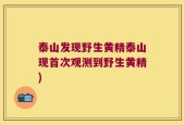 泰山发现野生黄精泰山现首次观测到野生黄精)
