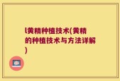 l黄精种植技术(黄精的种植技术与方法详解)