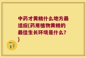 中药才黄精什么地方最适应(药用植物黄精的最佳生长环境是什么？)