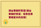 保山黄精籽育苗(保山黄精籽育苗：培育优质黄精苗木的关键)
