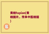 黄精tupian(黄精图片，传承中医精髓)