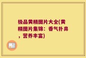 极品黄精图片大全(黄精图片集锦：香气扑鼻，营养丰富)