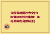 公园黄精图片大全(公园黄精的照片集锦：美轮美奂的自然风景)