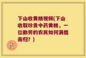 下山收黄精视频(下山收取珍贵中药黄精，一位勤劳的农民如何满载而归？)