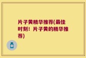 片子黄精华推荐(最佳时刻！片子黄的精华推荐)