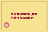 中药黄精的栽培(黄精的种植方法和技巧)