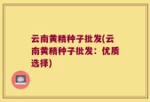 云南黄精种子批发(云南黄精种子批发：优质选择)
